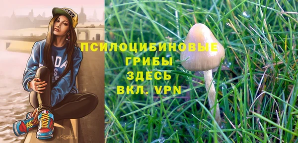 кокс Баксан