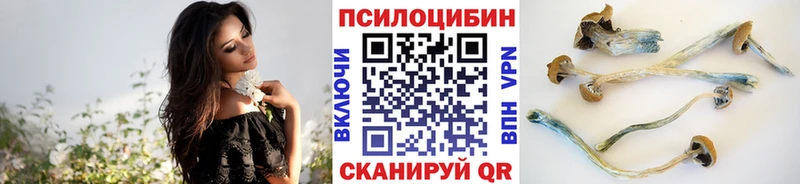 Галлюциногенные грибы ЛСД Николаевск